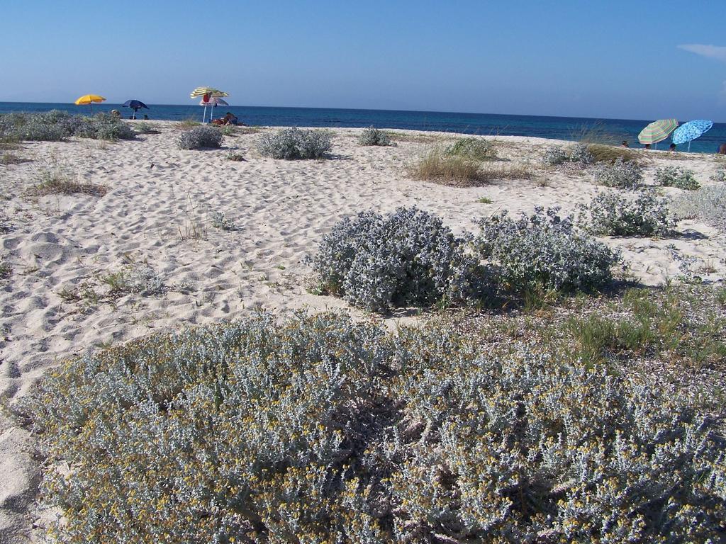 Agriturismo Cuile De Molino Порто Торес Екстериор снимка