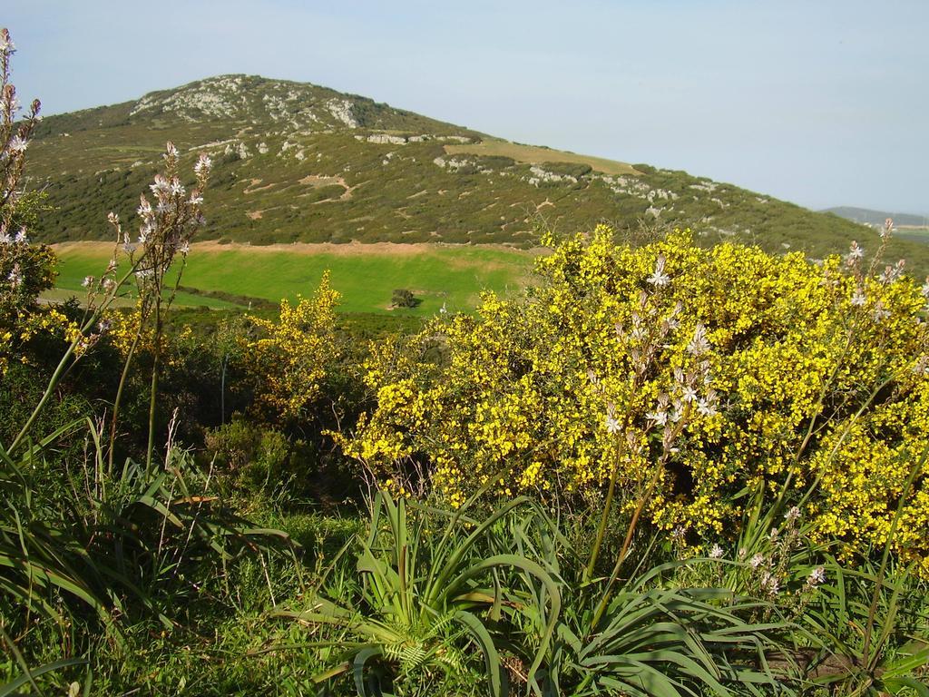 Agriturismo Cuile De Molino Порто Торес Екстериор снимка