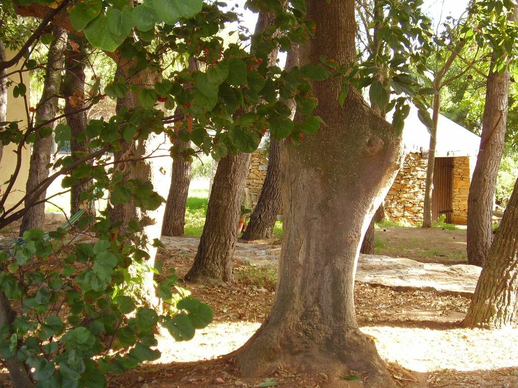 Agriturismo Cuile De Molino Порто Торес Екстериор снимка